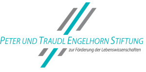 Logo_engelhorn